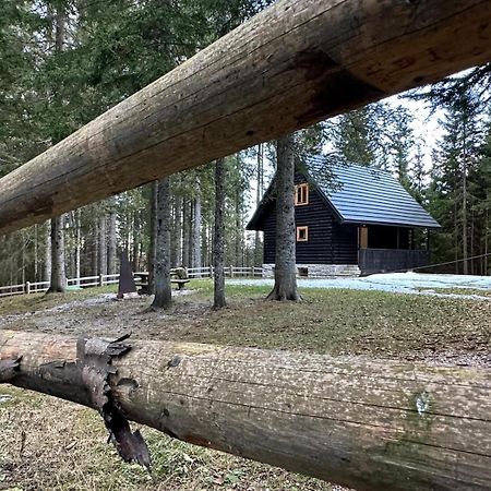 Cosy Lodge Pokljuka Goreljek Ngoại thất bức ảnh