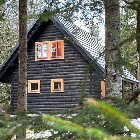 Cosy Lodge Pokljuka Goreljek Ngoại thất bức ảnh