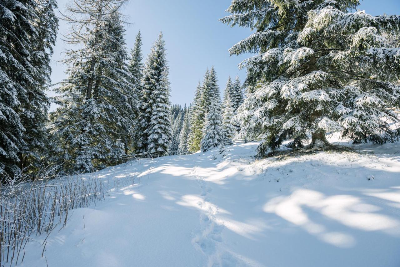 Cosy Lodge Pokljuka Goreljek Ngoại thất bức ảnh
