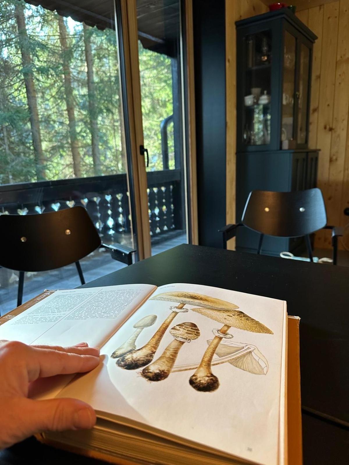Cosy Lodge Pokljuka Goreljek Ngoại thất bức ảnh