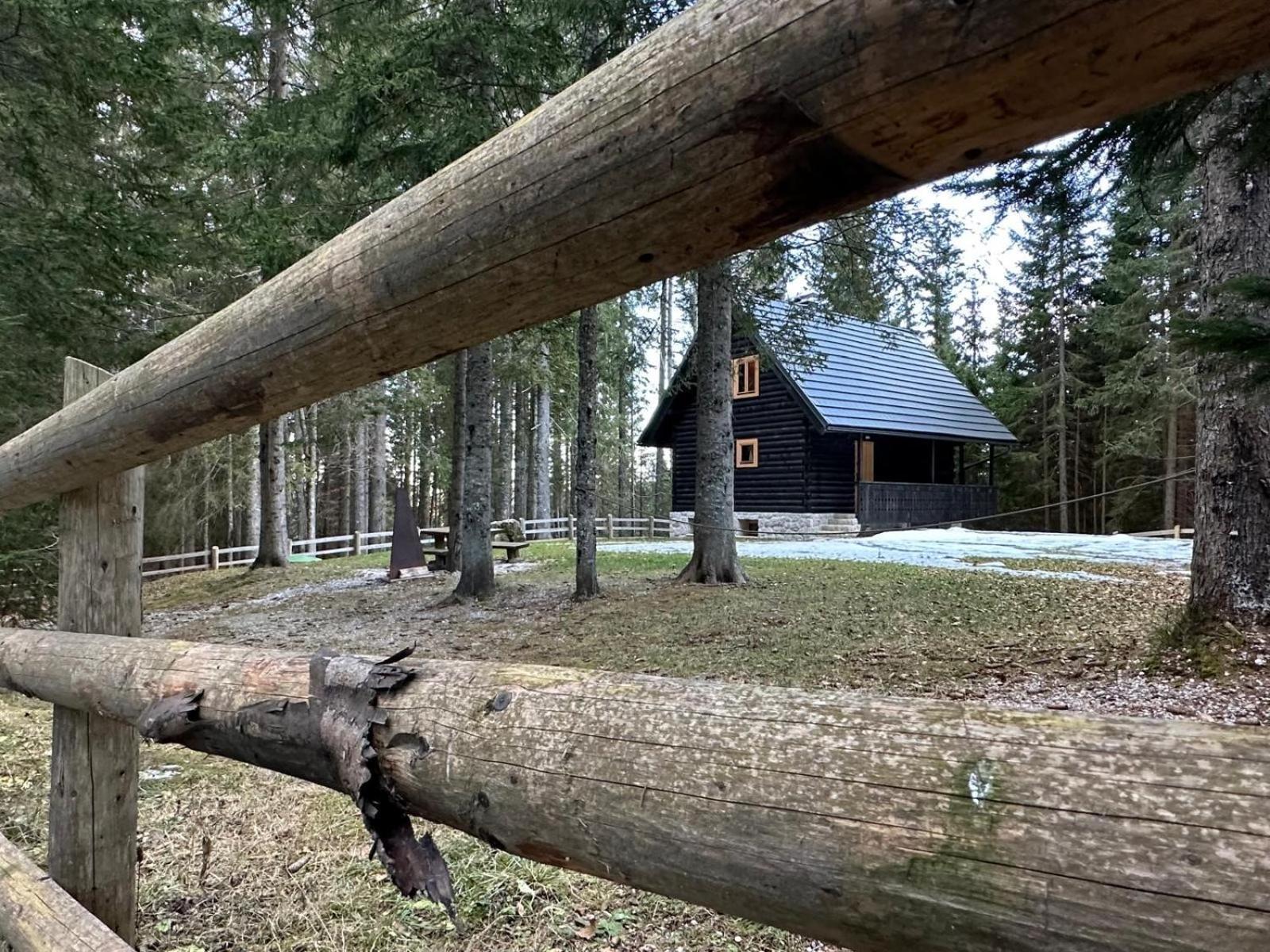 Cosy Lodge Pokljuka Goreljek Ngoại thất bức ảnh