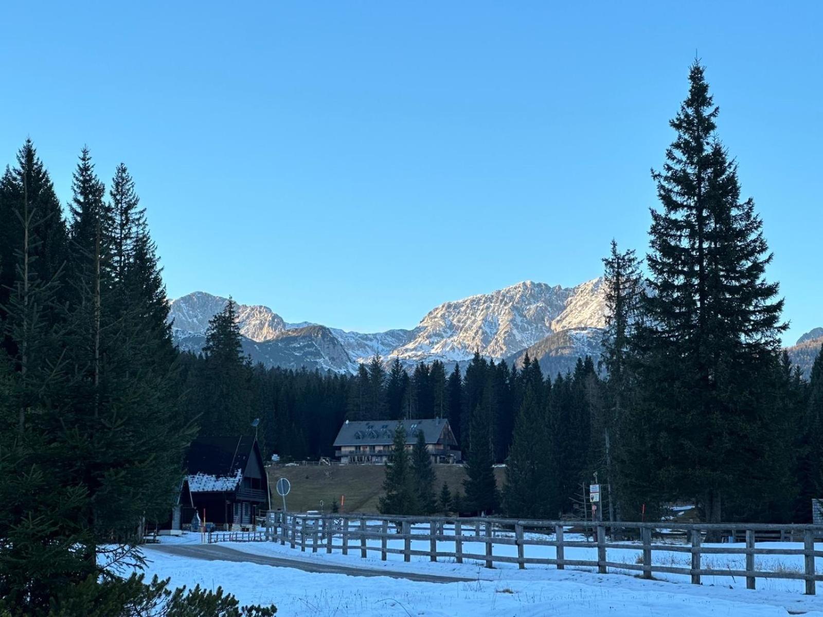 Cosy Lodge Pokljuka Goreljek Ngoại thất bức ảnh
