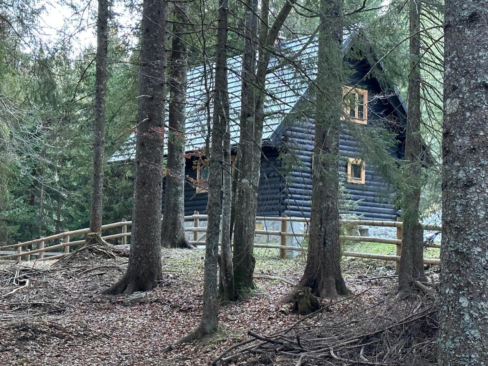 Cosy Lodge Pokljuka Goreljek Ngoại thất bức ảnh
