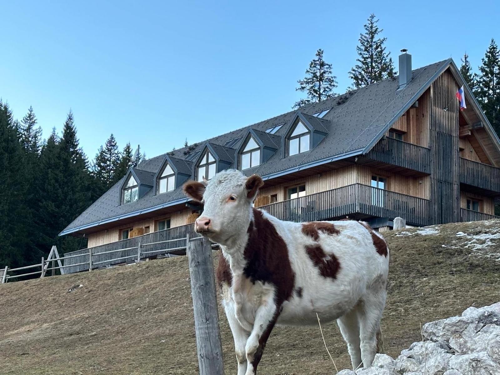 Cosy Lodge Pokljuka Goreljek Ngoại thất bức ảnh