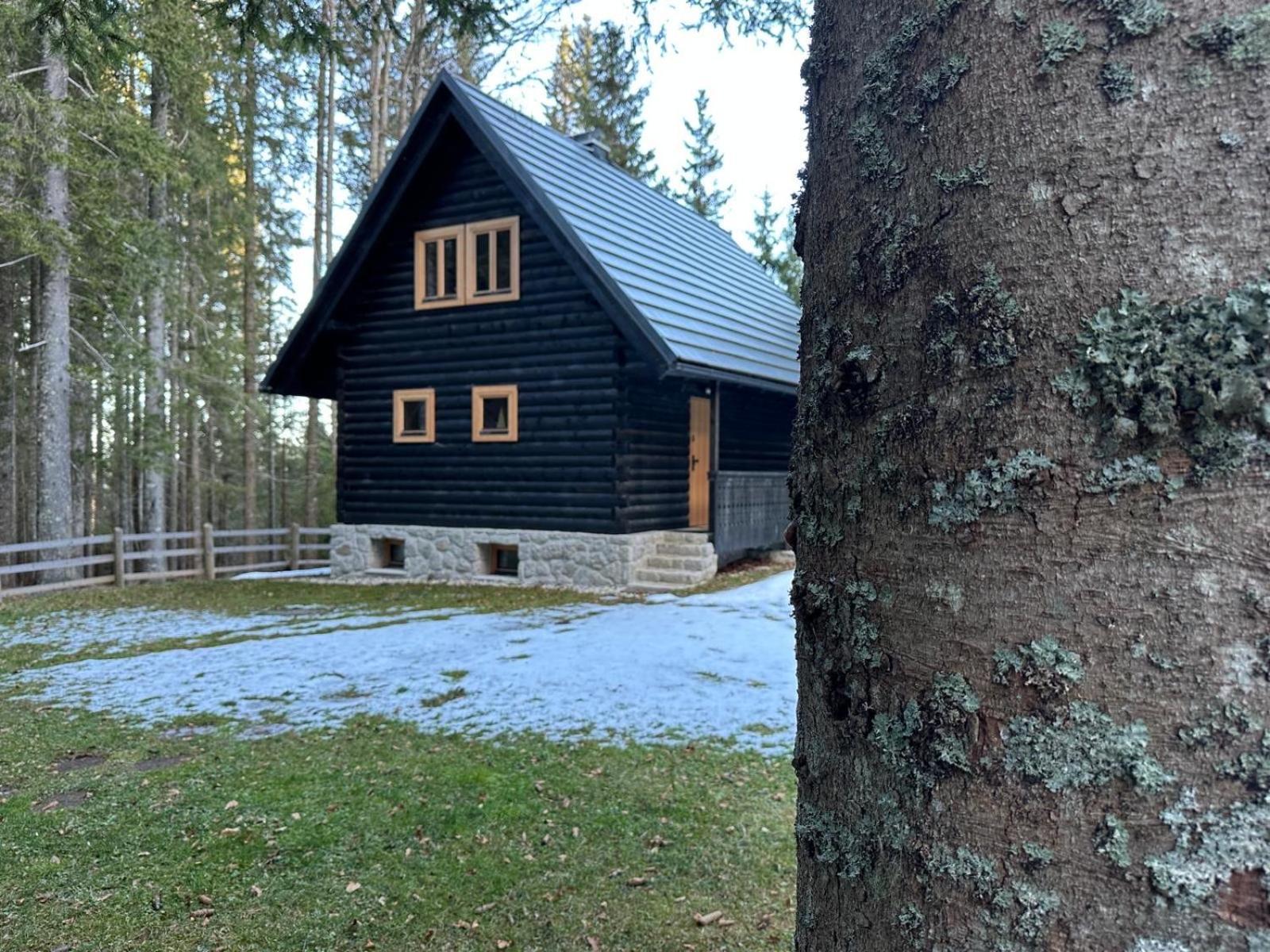 Cosy Lodge Pokljuka Goreljek Ngoại thất bức ảnh