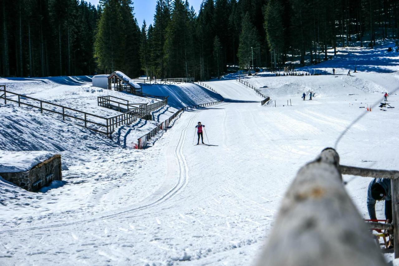 Cosy Lodge Pokljuka Goreljek Ngoại thất bức ảnh