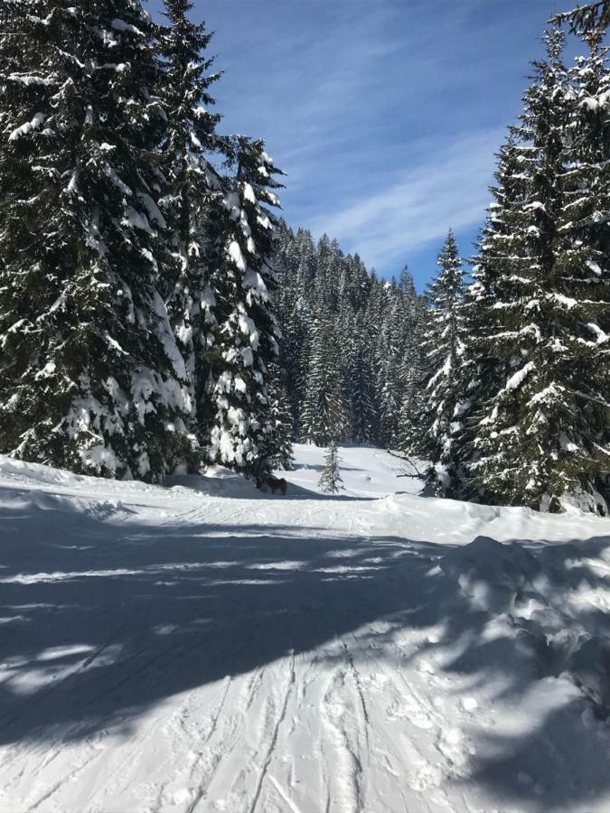 Cosy Lodge Pokljuka Goreljek Ngoại thất bức ảnh